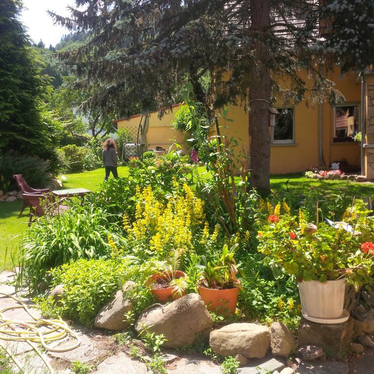 Apartamento Loredana *